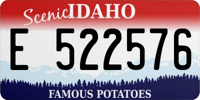 ID license plate E522576