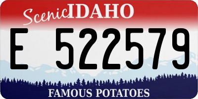 ID license plate E522579