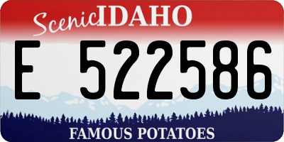 ID license plate E522586