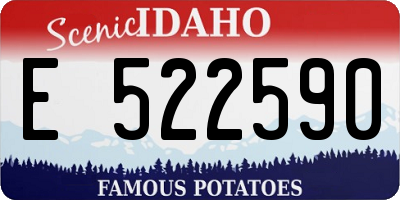 ID license plate E522590