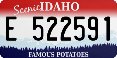 ID license plate E522591