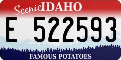 ID license plate E522593