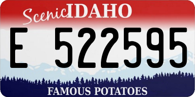 ID license plate E522595