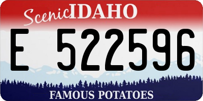 ID license plate E522596