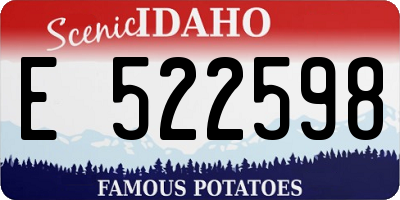 ID license plate E522598
