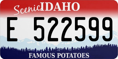 ID license plate E522599