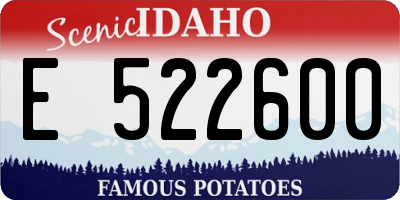 ID license plate E522600
