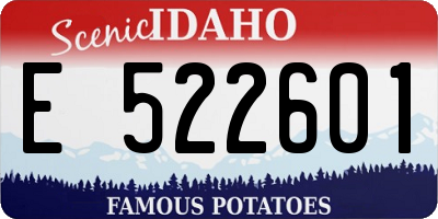 ID license plate E522601
