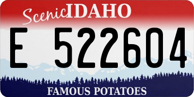 ID license plate E522604