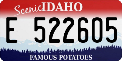 ID license plate E522605