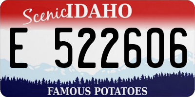 ID license plate E522606