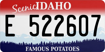 ID license plate E522607