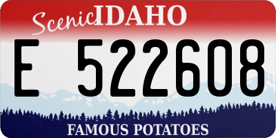 ID license plate E522608