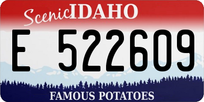 ID license plate E522609