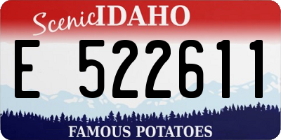 ID license plate E522611