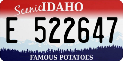 ID license plate E522647