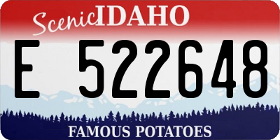 ID license plate E522648