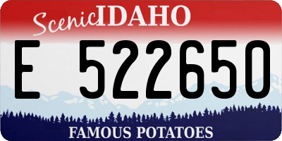 ID license plate E522650