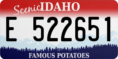 ID license plate E522651