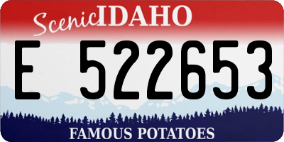 ID license plate E522653
