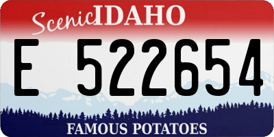 ID license plate E522654