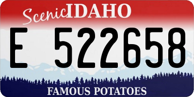 ID license plate E522658