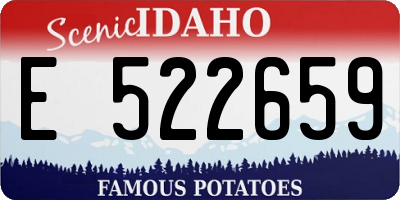 ID license plate E522659