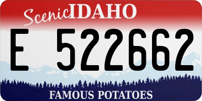 ID license plate E522662