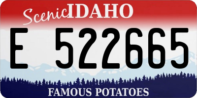 ID license plate E522665