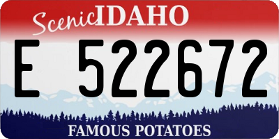 ID license plate E522672