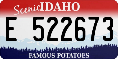 ID license plate E522673