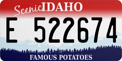 ID license plate E522674