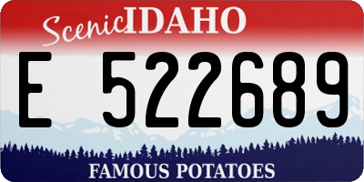 ID license plate E522689