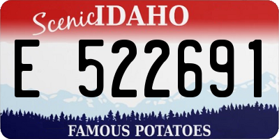 ID license plate E522691