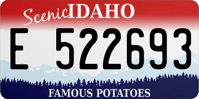 ID license plate E522693