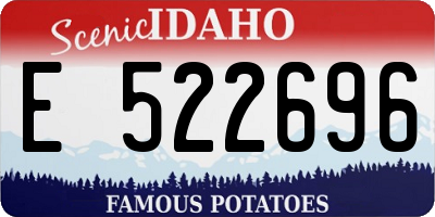 ID license plate E522696