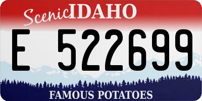 ID license plate E522699