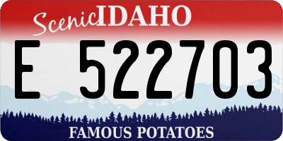 ID license plate E522703