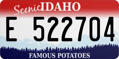 ID license plate E522704