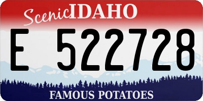 ID license plate E522728