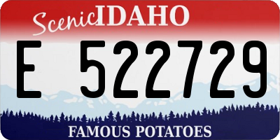 ID license plate E522729