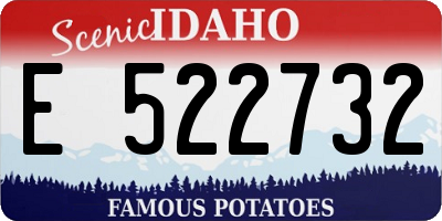 ID license plate E522732