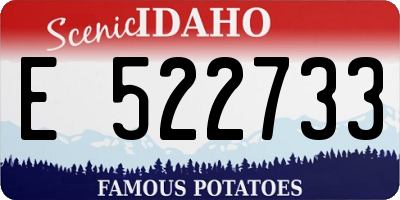 ID license plate E522733