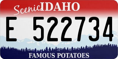 ID license plate E522734