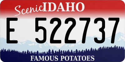 ID license plate E522737