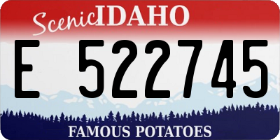 ID license plate E522745