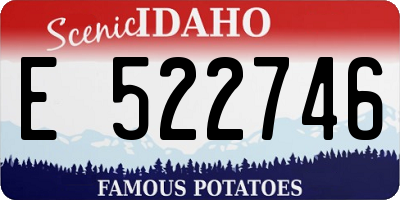 ID license plate E522746