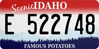 ID license plate E522748
