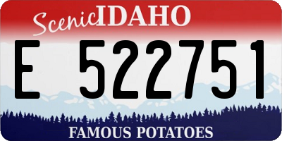 ID license plate E522751
