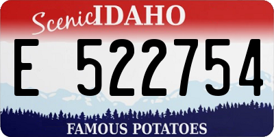 ID license plate E522754